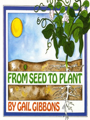 cover image of From Seed to Plant